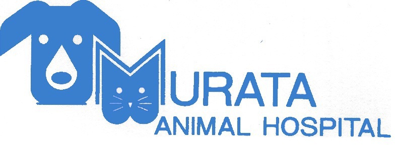 むらた動物病院