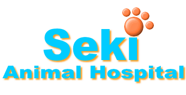 梨の木動物病院