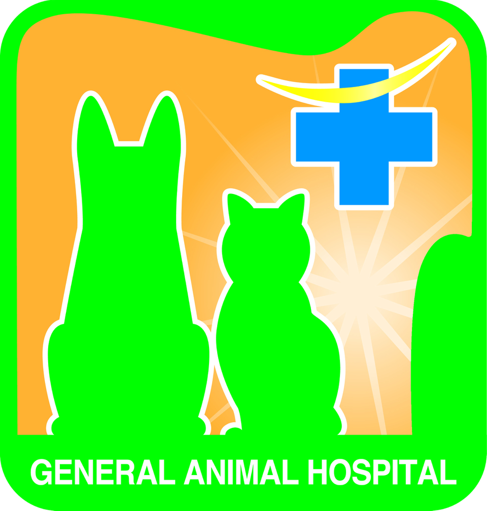 梨の木動物病院